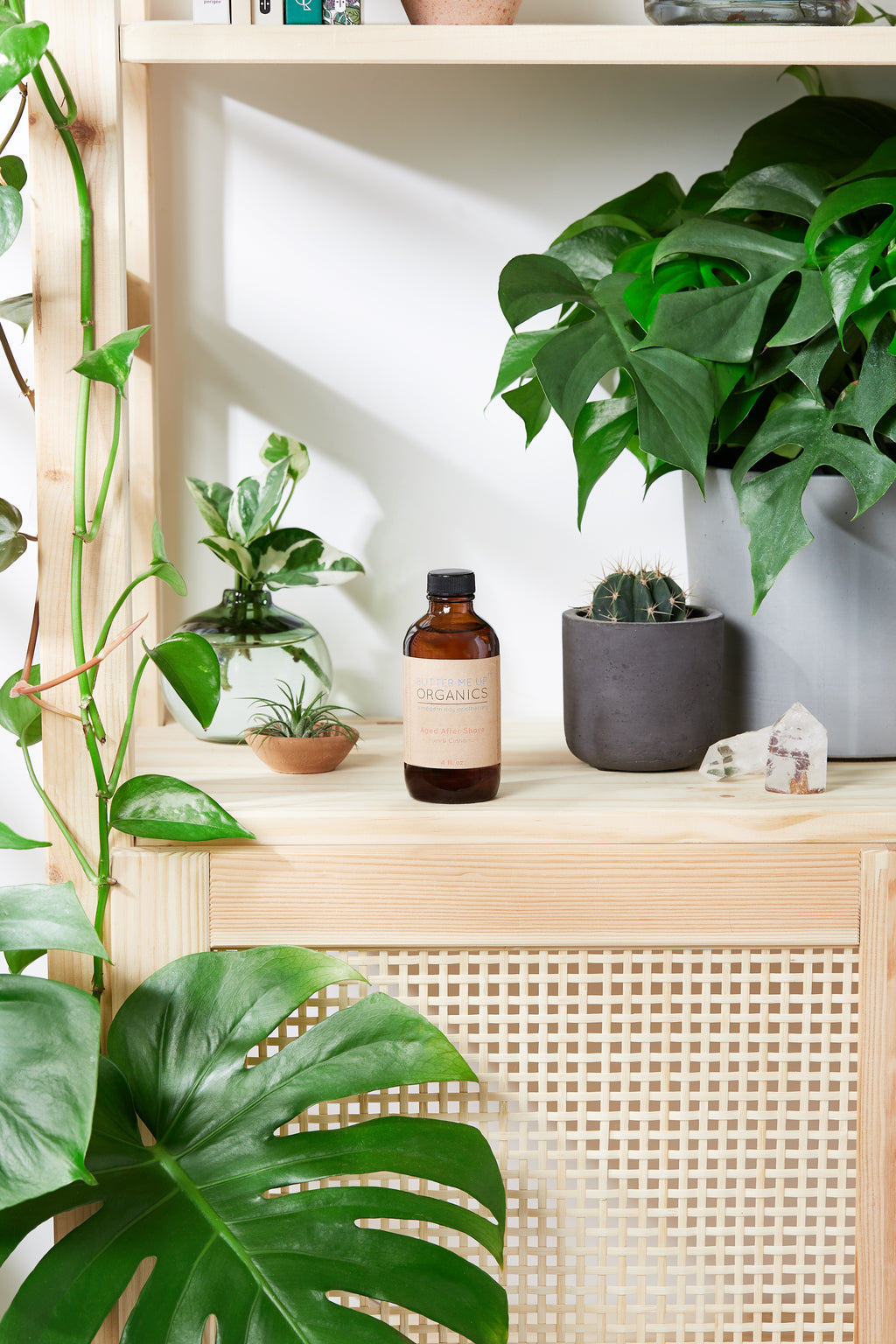 Organic Bay After Shave & Cologne | Ember & Cole